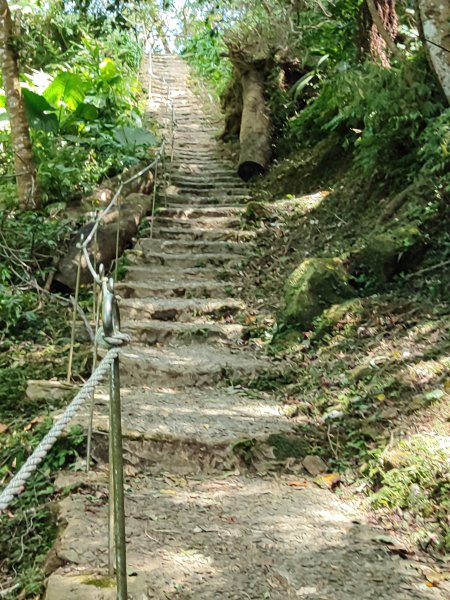 微笑山線：【天上山系】望月亭桐花段2860685