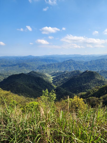 20250322-姜子寮山2740004