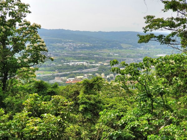 榛山北峰，榛山步道，三員縱走，三角山，長坑山，雙峰山，員屯山，文林古道，高梘頭山，糖塔山，鐘樓古道1691679