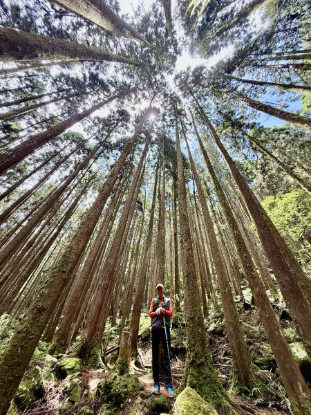 橫嶺山走走避暑趣 2025.6.112815418