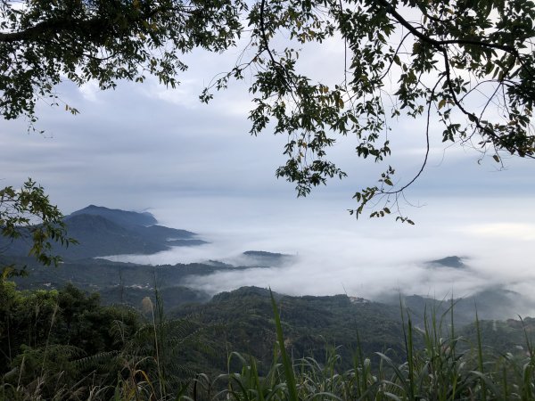 關仔嶺大凍山步道走曾文水庫O型1611830