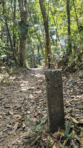 【赤腳闖魔王，好神啊！💪】第21次下尾寮山⛰️。沒事來走就對了💪💪3052423