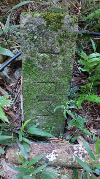 北投清天宮-外人別莊-馬偕別墅-面天山系O型走2787756