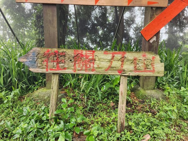 小百岳No.36⛰關刀山3050457