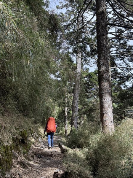 玉山主峰 2025/09/26~272915394