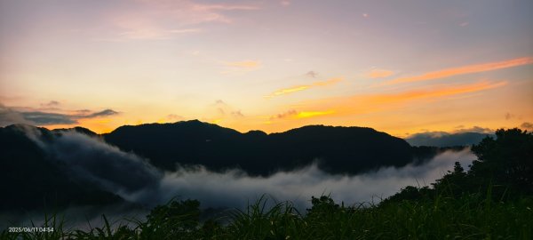 跟著雲海達人山友追雲趣 #草莓月亮 #月圓雲海 #霞光 #日出雲海 #茶園 6/112808773