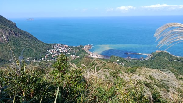 找一個晴天去爬山~金瓜石芒花之旅2962421