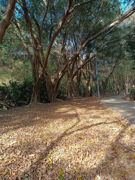 大肚環保公園登山步道(北段)2443499