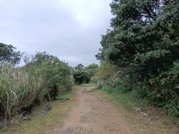 瑞芳區本山地質公園步道+草山公路+百二崁古道+樹梅坪古道O型2945508