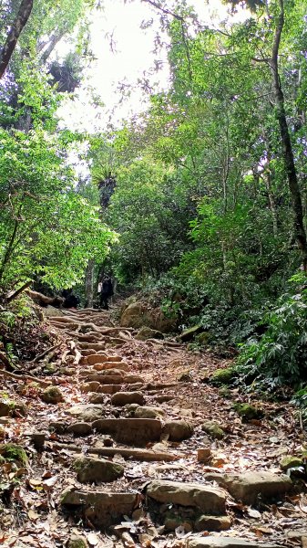 【苗栗-臺灣百大必訪步道】泰雅族抗日的馬那邦山登山步道1347693