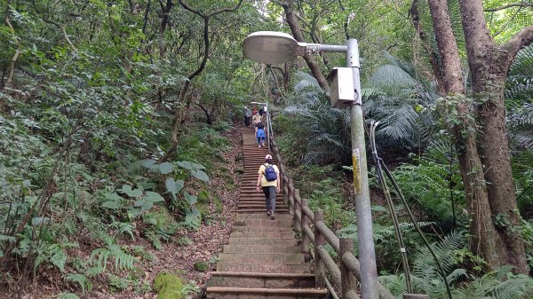 (姨婆趴趴走)第九集:攀登新北鶯歌石，鶯歌郊山步道群縱走(一)2167918