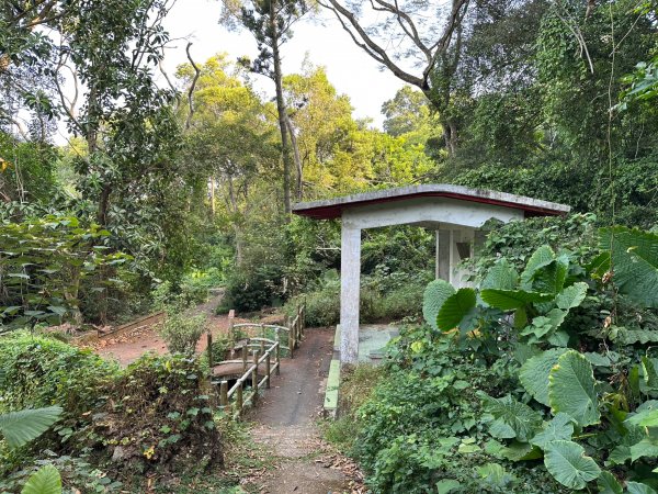 田中森林公園登山步道1889721