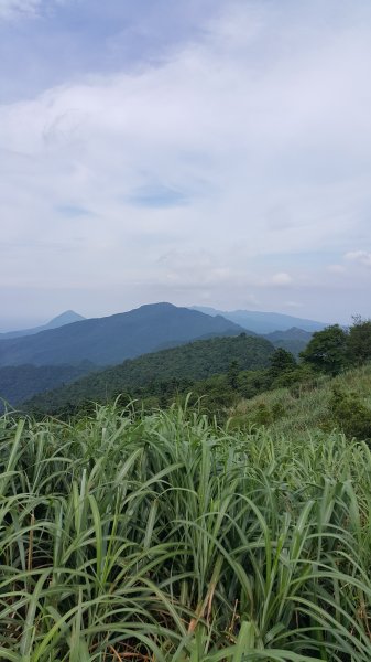 姜子寮山_旗尾崙1740900