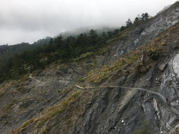 20161109-10_奇萊南華873703