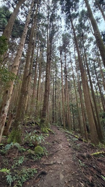 加里山 2025 12/282971689