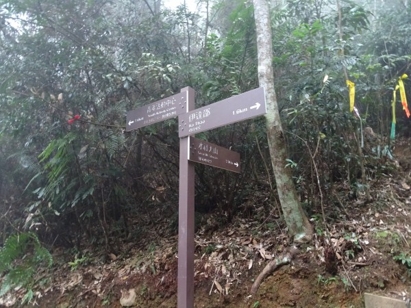 南投魚池-集集-水社大山和集集大山256555