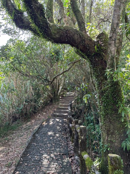 二格公園上二格山2263421