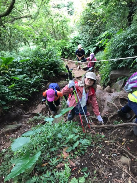 第二段大屯山系1005522