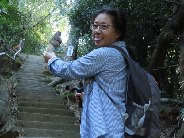 豐原三崁頂健康步道3上2下O形2696143