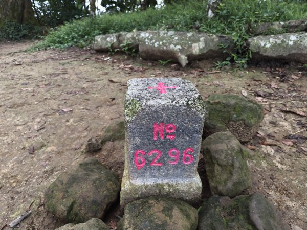 [百山百鳥尋旅-10/15] 2025_0920 溪洲山步道(福山巖登山步道)2893136