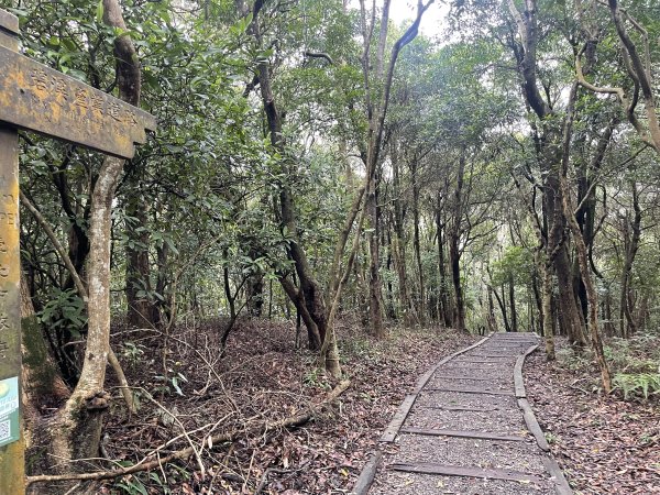 翠山步道 + 碧溪步道 + 大崙尾步道2649951