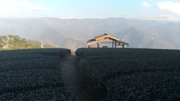 可以慢慢享受的鄉下雲嘉大尖山.二尖山284962