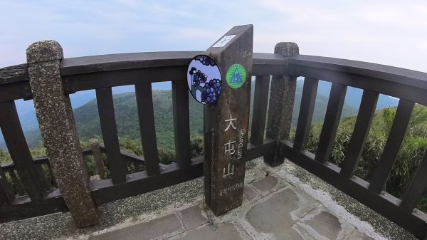 20250501_陽明山東西大縱走-round#32784147