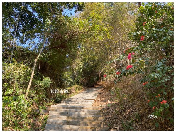 老崎古道、老崎坪頂山 (頭份)2737116