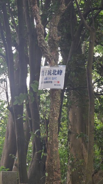 2026-0116 大屯三山_貴子坑_北投2984781