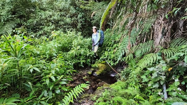 干卓萬群峰五天1141001~052906186