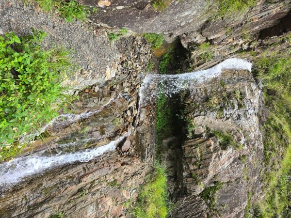 觀高山屋／龍貓公車／八通關山／八通關山西峰2927379