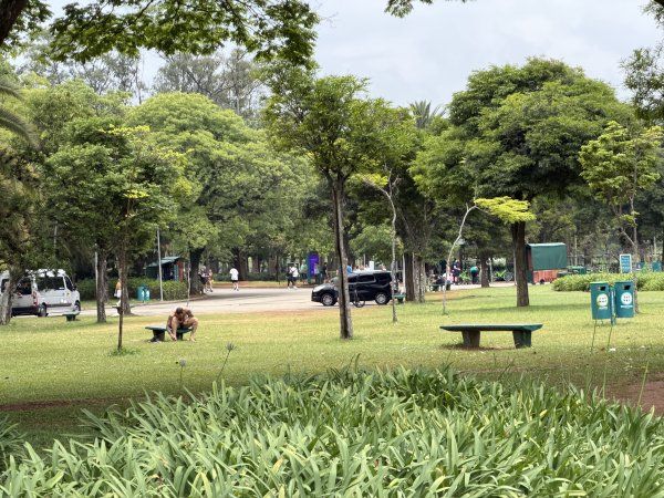 [紐約馬之行-67] 2025_1116 伊比拉布埃拉公園-上2955045