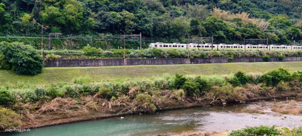 #半屏山 #芒花 11/262946018