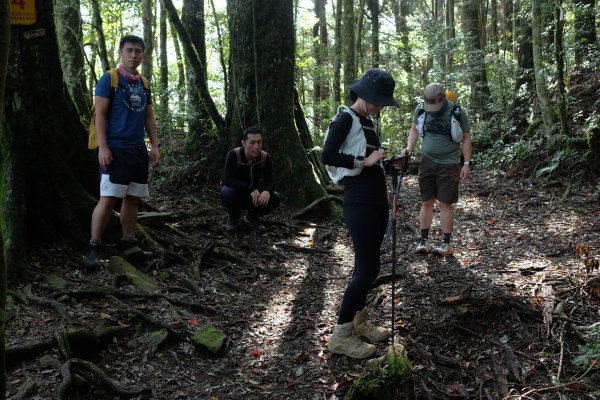 苗栗南庄鄉 二訪加里山 ‧ 2025春 哈加2753378
