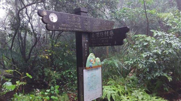 小百岳NO.14 深坑土庫岳。更寮古道 山豬窟尖，小南港山，南港山水綠生態公園2257344