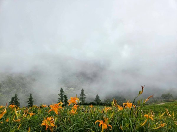 太麻里金針山2872626