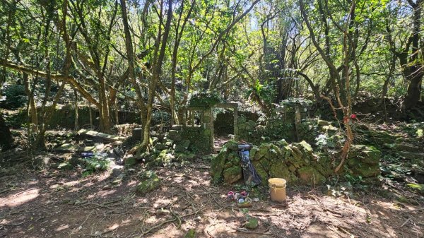 20250322遠望坑古道-龜媽坑古道中線-虎子山古道2743260