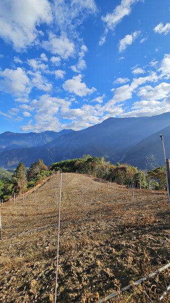 【走進望鄉部落，抬頭就見玉山】獵人古道之望美山、瓊山O繞16K。2972261