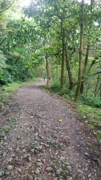 璀璨百年淡蘭古道～象寮古道、石空山、坪溪古道、梗枋古道O走1339408