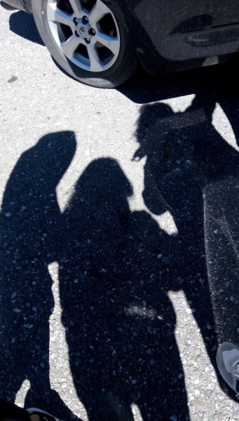 中橫之旅 合歡尖山2019/2春節528671