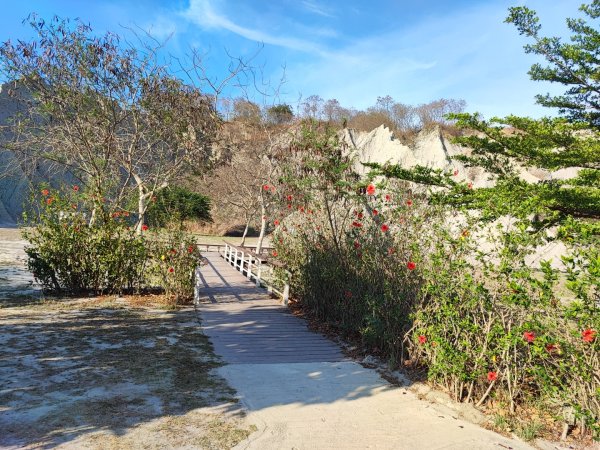 田寮月世界地景步道-(高雄)臺灣百大必訪步道2486150