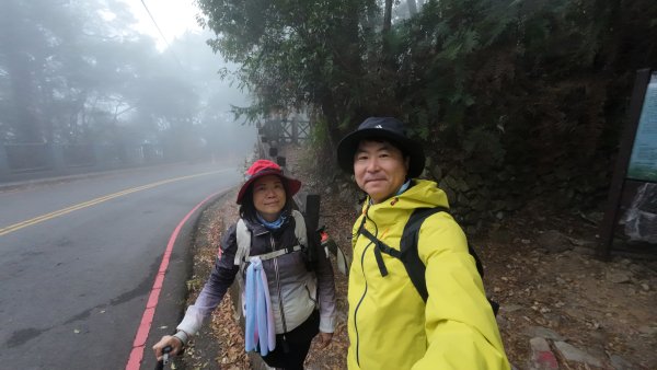 台中 鳶嘴稍來山O繞+稍來神木2989457
