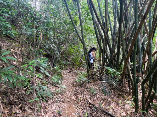 三段崎古道2835519