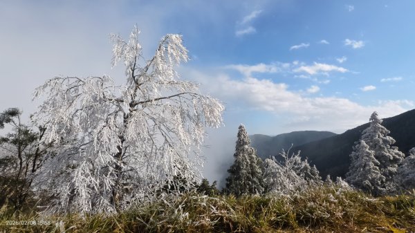 #霧淞 #雲海 #雲瀑 #霧虹 #太平山 #望洋山 #觀雲步道 #翠峰道路  2/82995275