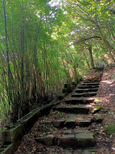 悠遊陽明山前山公園、紗帽山1846158