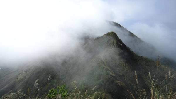 秋末初探芒花海 雷霆峰下少人行