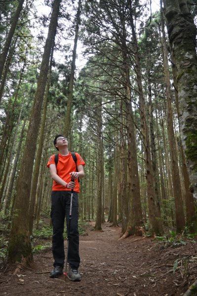 中級山-高島縱走2888387