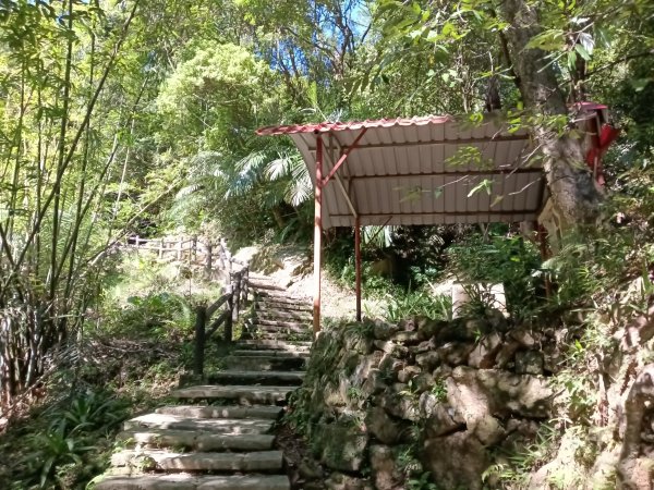 汐止區白雲古道+白雲寺O型2911959