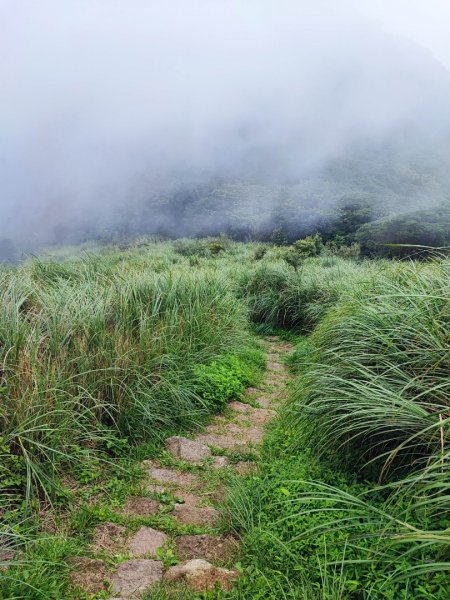 面天山、向天山步道 - 走遍陽明山尋寶任務2262942