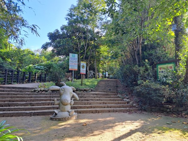 桃園羊稠森林，虎頭山，福山巖，石門山步道